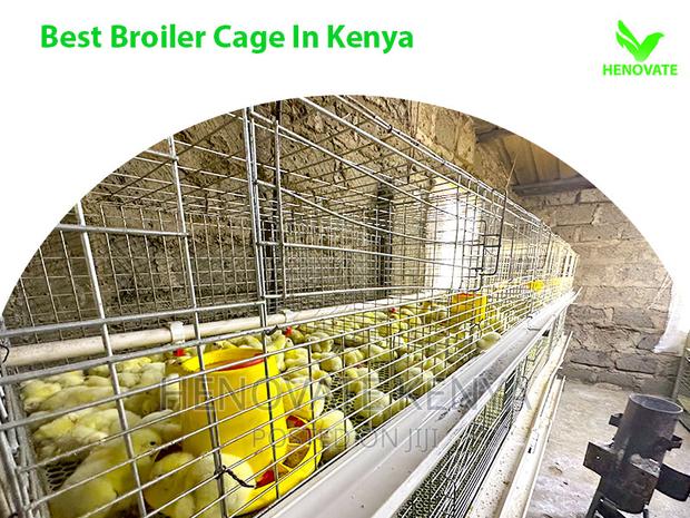 Special Broiler Cages(3tiers) in Kenya Ruiru Saves Spaces
