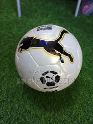 Puma Size 4 Balls