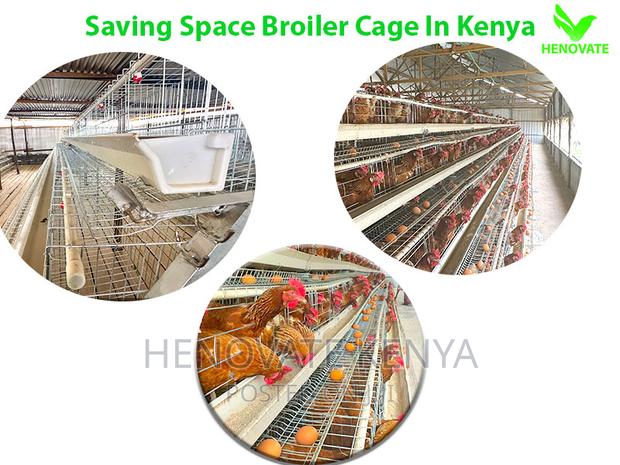 Buy 128 Birds Layer Cages - thumbnail 3