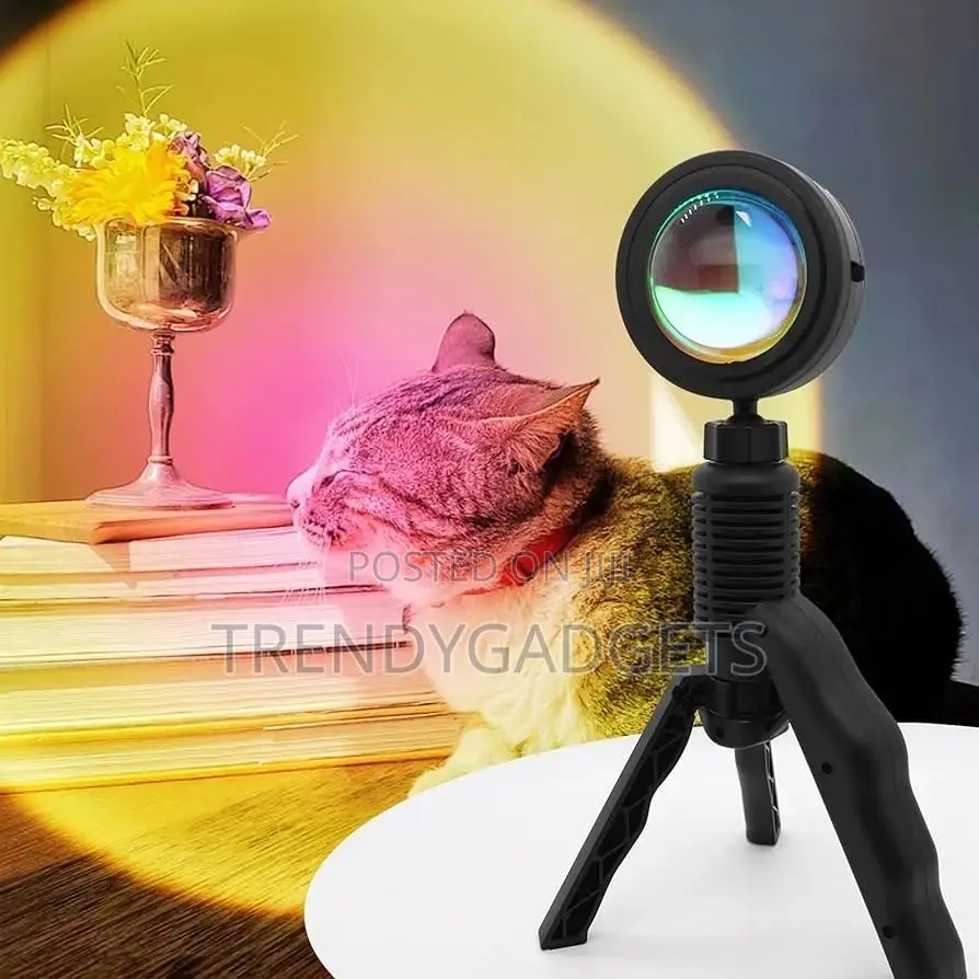 Modern Holiday Night Light Sunset Lamp