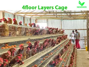 A Type, 4 Tiers, 128 Birds Chicken Cage