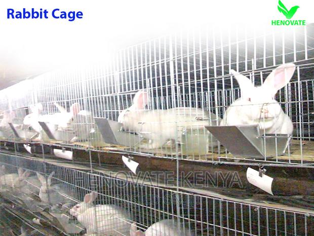 Smart Rabbit Cages in Kenya - main view