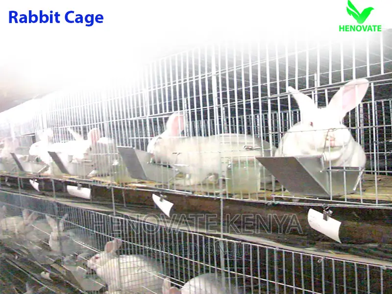 Smart Rabbit Cages in Kenya