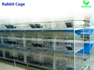 Smart Rabbit Cages in Kenya