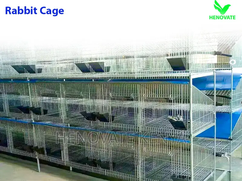 Smart Rabbit Cages in Kenya