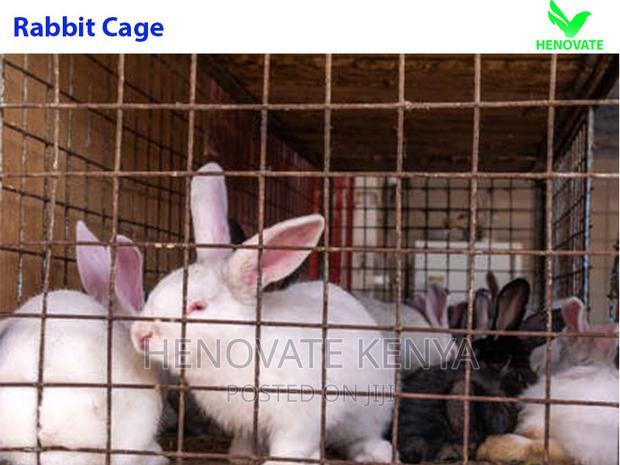 Easy Clean Rabbit Cage in Kenya (Easy to Manage)