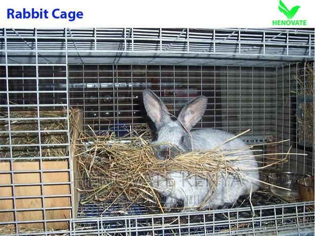 Rabbit Cage Standard Trolley in Kenya