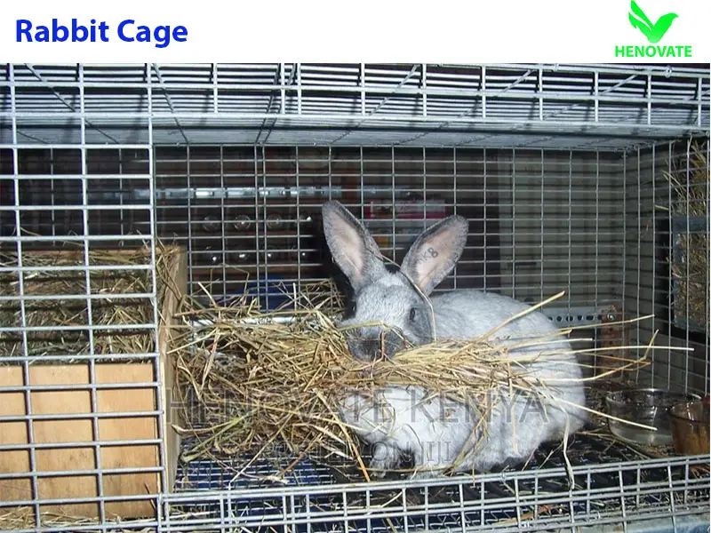 Rabbit Cage Standard Trolley in Kenya in Ruiru Farm Machinery