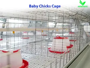 Best Quality Chicks Cage.Best Offer