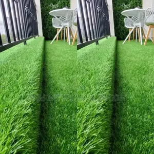 Grass Carpets Grass Carpets Grass Carpets Grass Carpets
