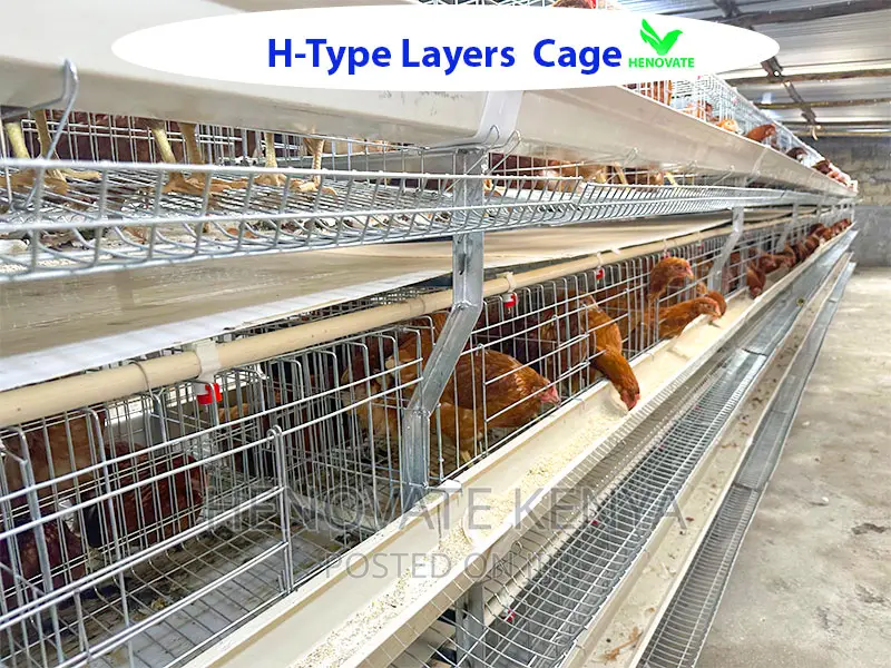 H Type Battery Layer Chicken Cage/Saves Space(Kenya)