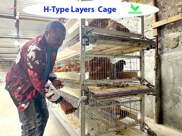 Reliable Durable H-type Layer Cage/Ruiru - main view