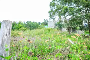 Prime Residential Plot for Sale in Kikuyu, Kamangu