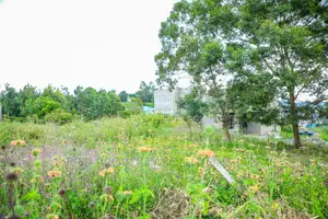 Prime Residential Plot for Sale in Kikuyu, Kamangu