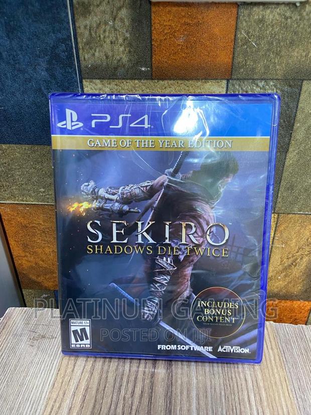 Sekiro Video Game - main view