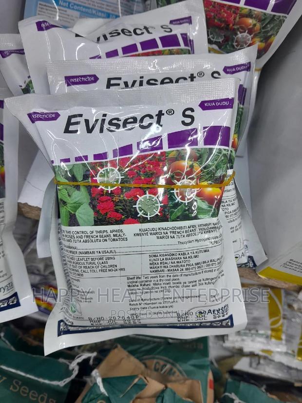 Evisect S 100g Insecticide - main view