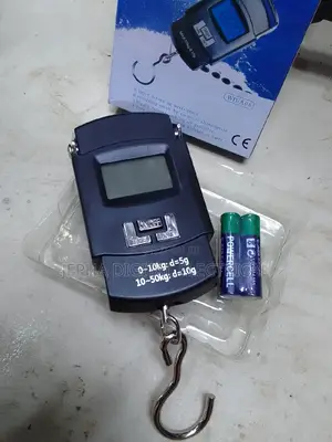 Portable Electronic Scale