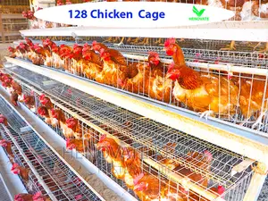 128 Birds Layers Cage in Kenya