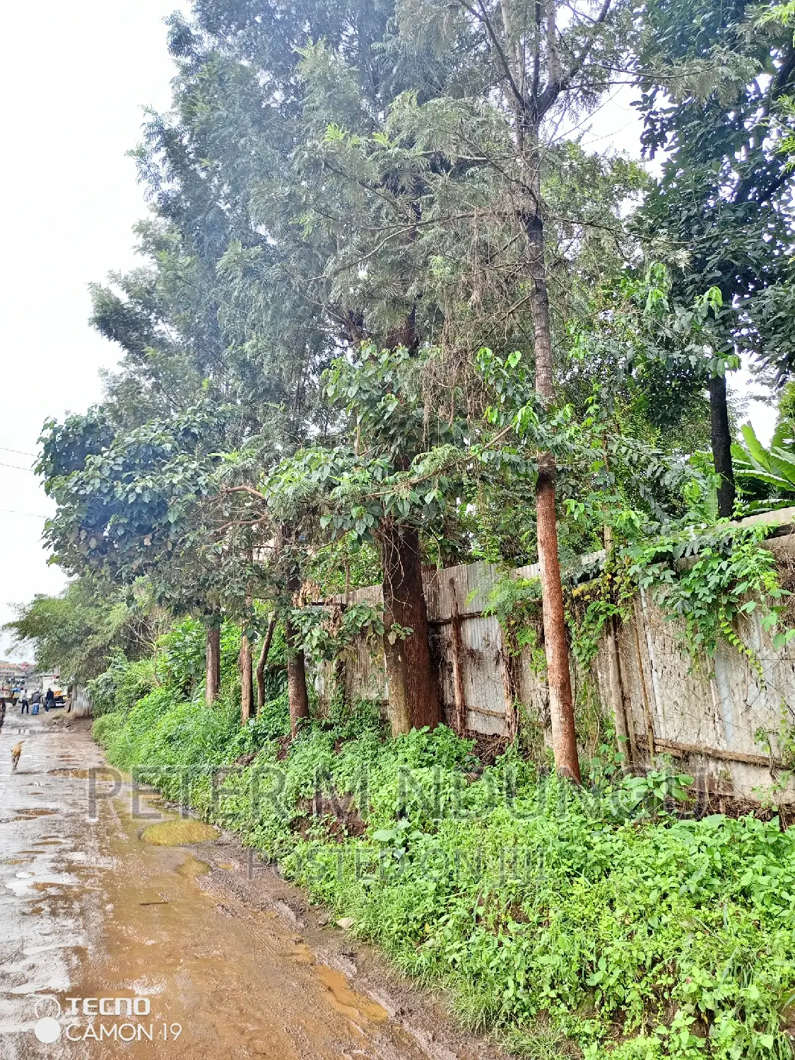 Prime Commercial 1/4 Acre Kiamumbi