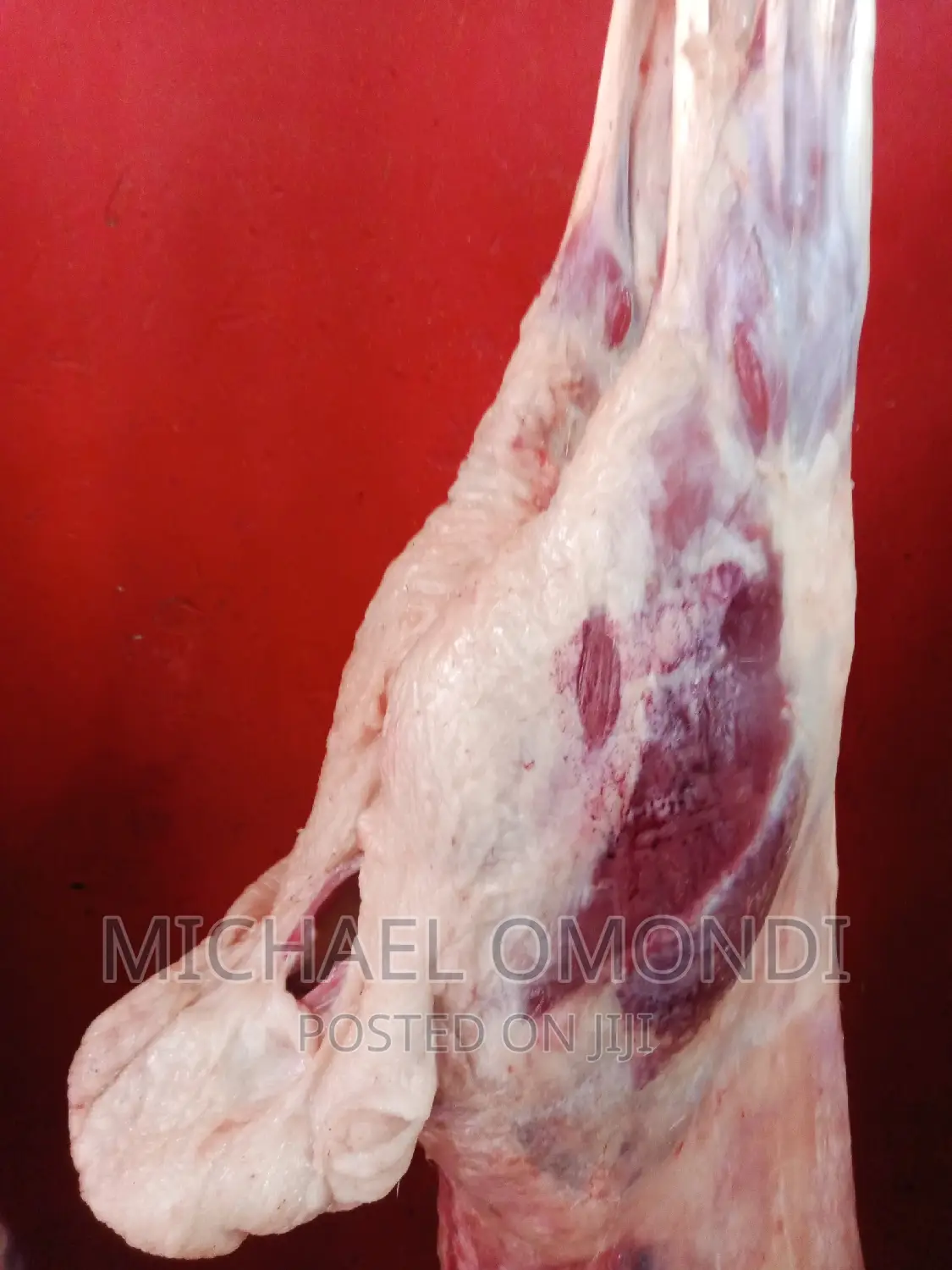 11kgs Full Lamb/Mutton(Liver Kidneys) - 7480