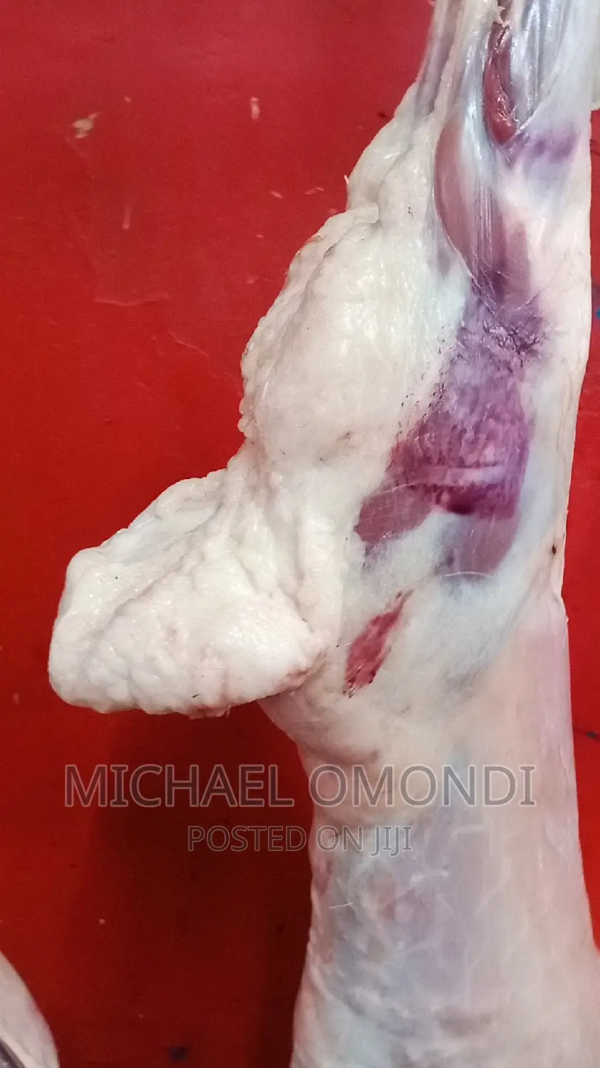11kgs Full Lamb/Mutton(Liver Kidneys) - 7480
