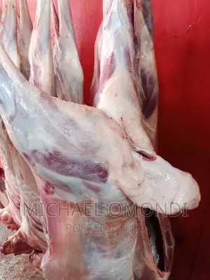 11kgs Full Lamb/Mutton(Liver Kidneys) - 7480
