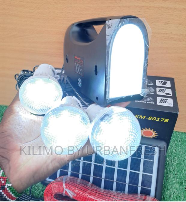 Solar Lighting System - main view
