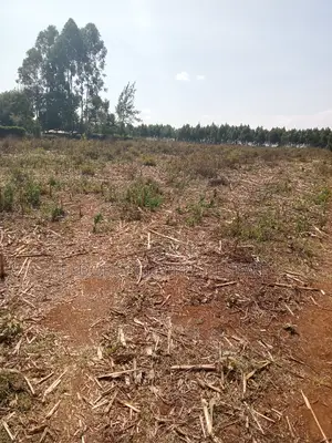 3 Acres Kaboi With Title Kiplombe Route