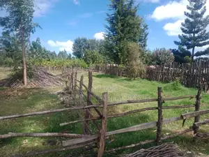 10 Acres Ngeria Route Prison With Title