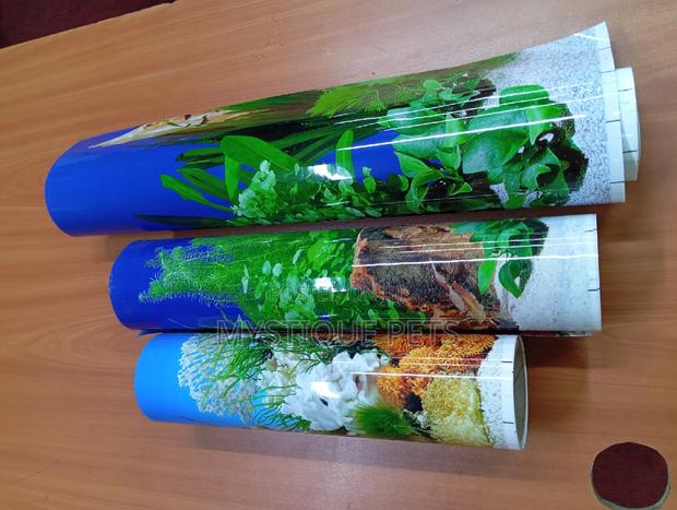 Aquariums Back Ground - main view