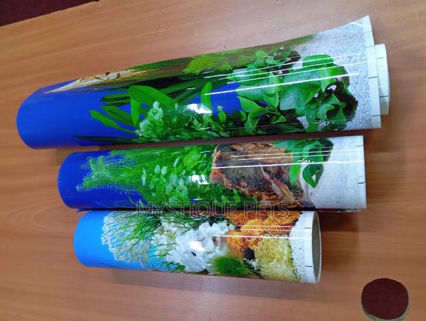 Aquariums Back Ground - thumbnail 3