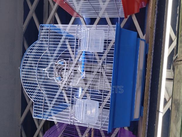 Bitrd-Cages - main view