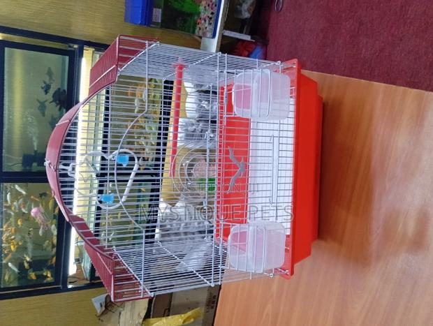 Bitrd-Cages - thumbnail 3