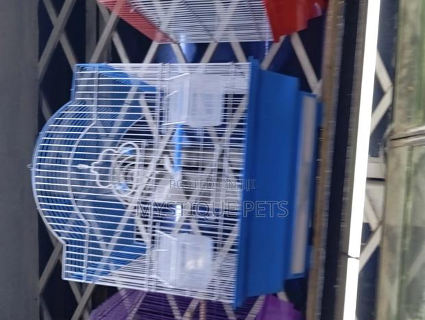 Bitrd-Cages - thumbnail 4