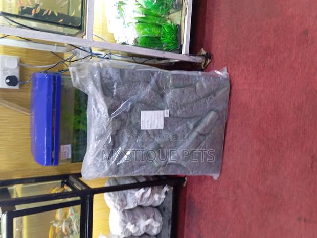 3d Aquarium Background - main view