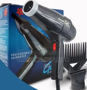 Gek 300/Ceriotti Hair Dryer