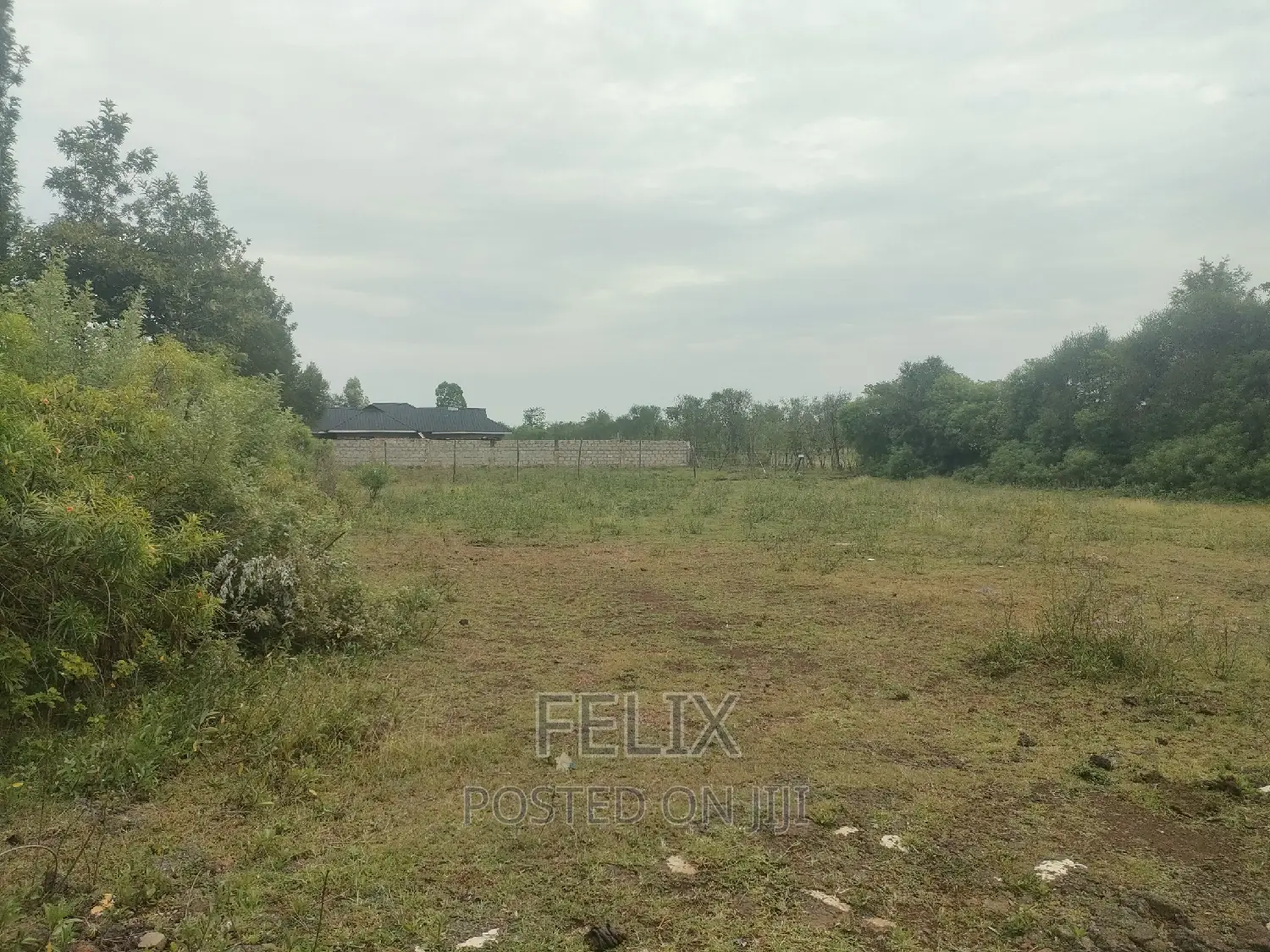 Sagana Town 1 Acre