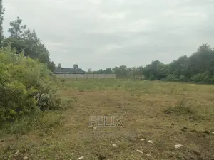 Sagana Town 1 Acre