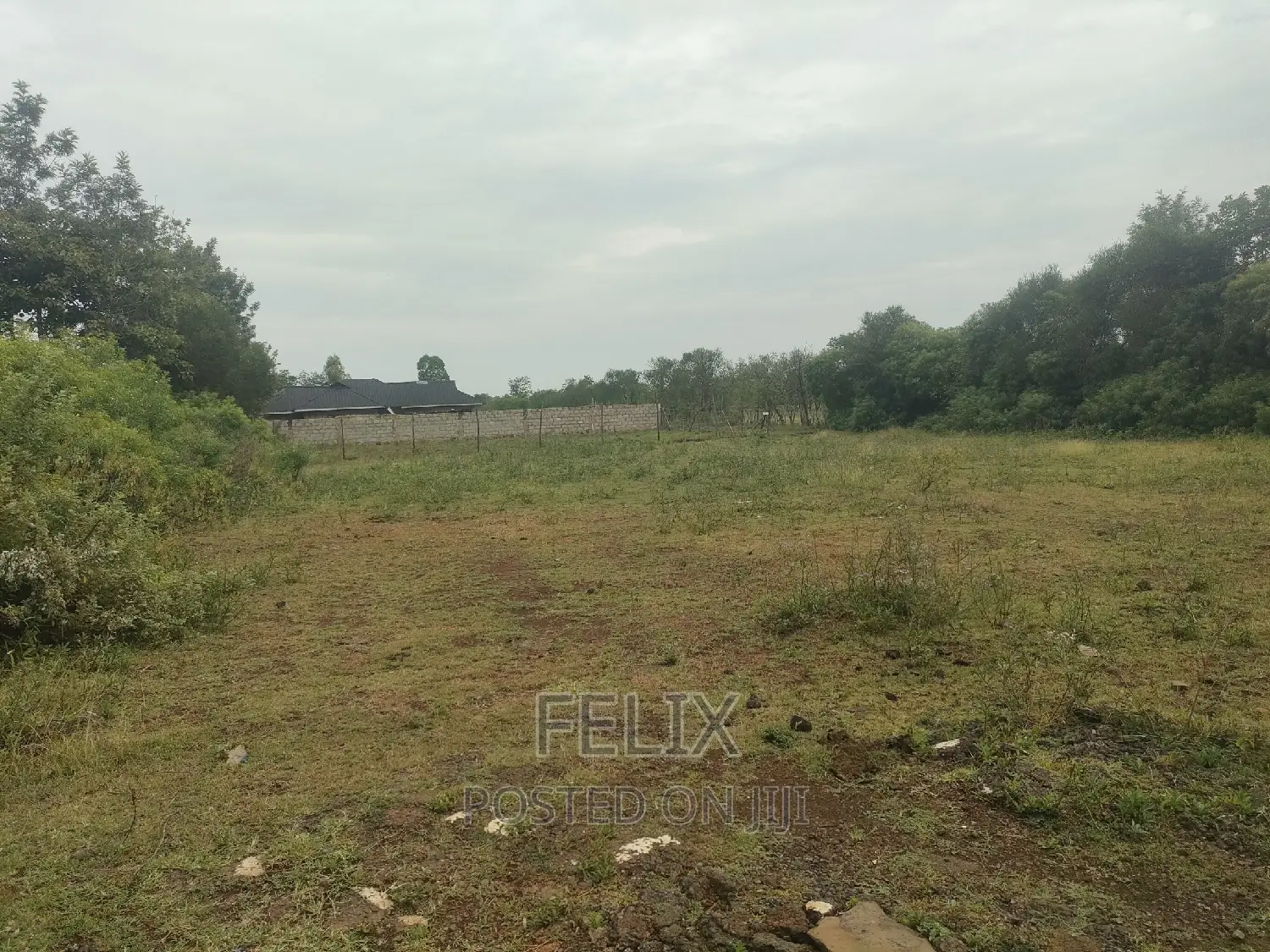 Sagana Town 1 Acre