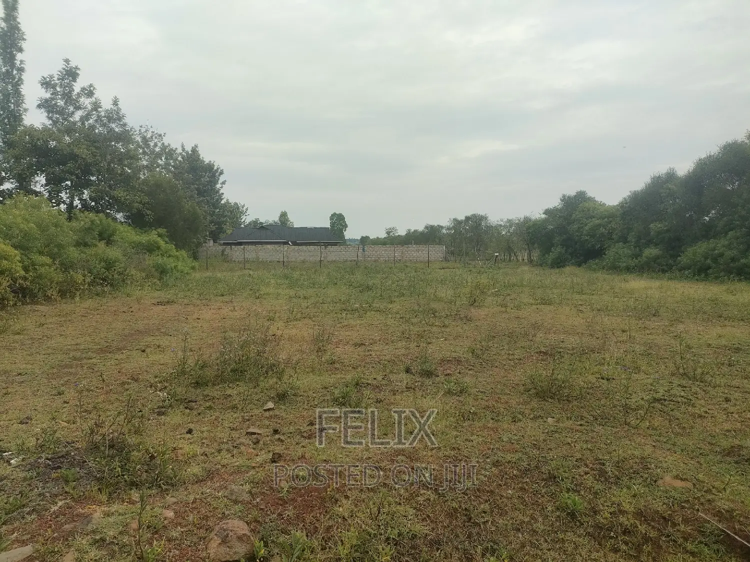 Sagana Town 1 Acre