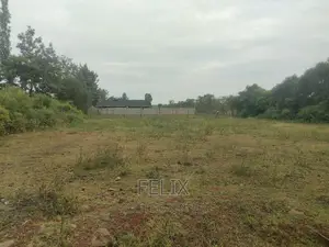 Sagana Town 1 Acre