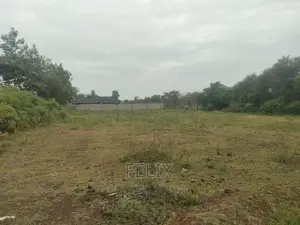 Sagana Town 1 Acre