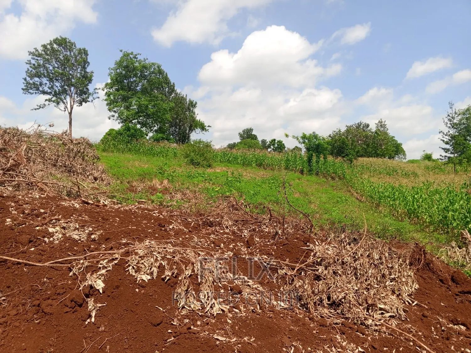 Sagana/Kagio Highway 2 Acres