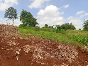 Sagana/Kagio Highway 2 Acres