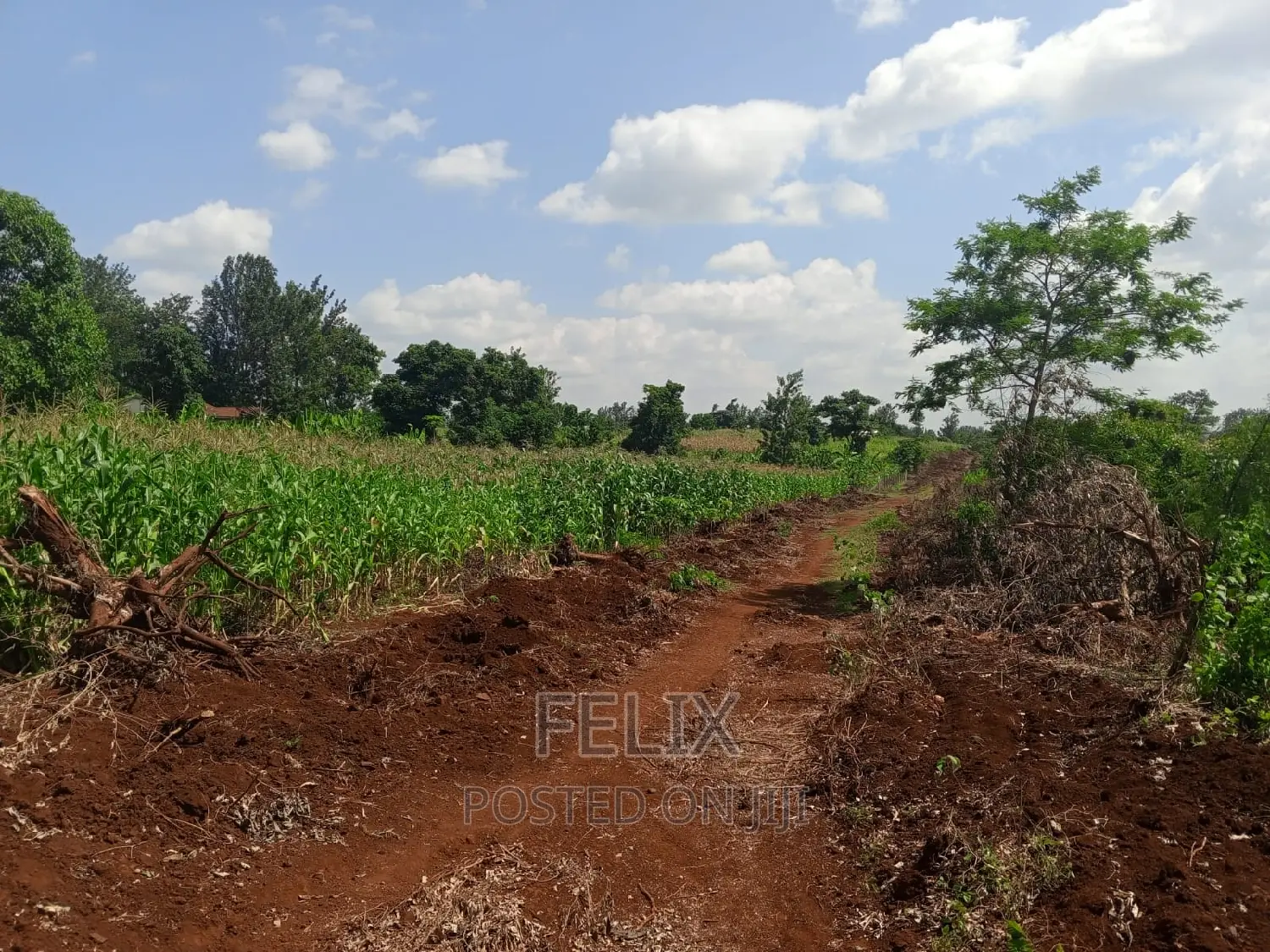Sagana/Kagio Highway 2 Acres