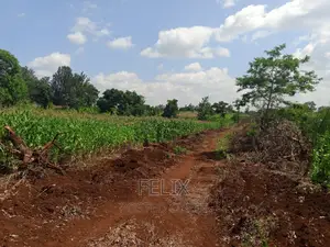 Sagana/Kagio Highway 2 Acres