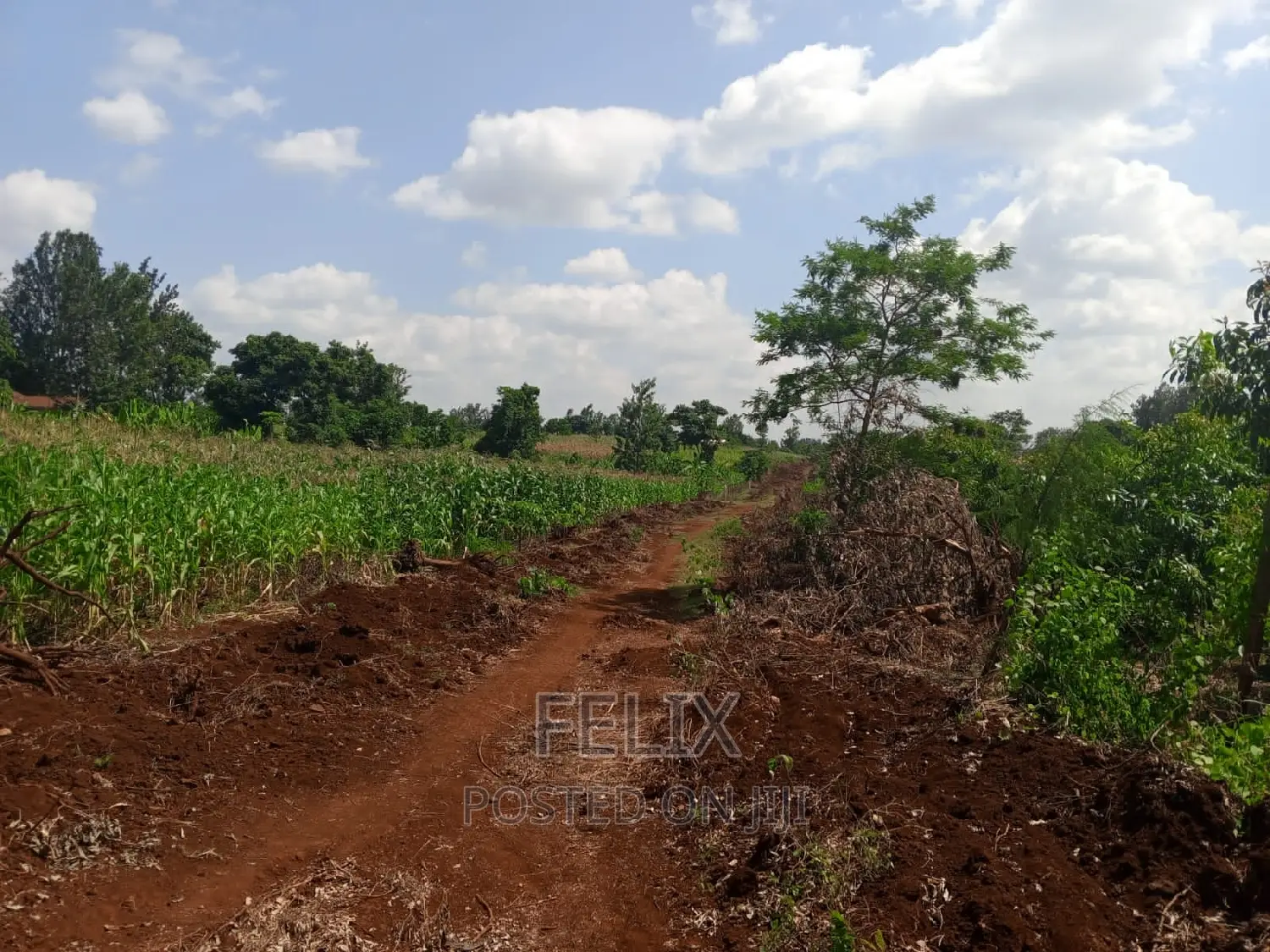 Sagana/Kagio Highway 2 Acres