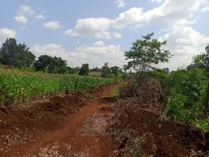 Sagana/Kagio Highway 2 Acres