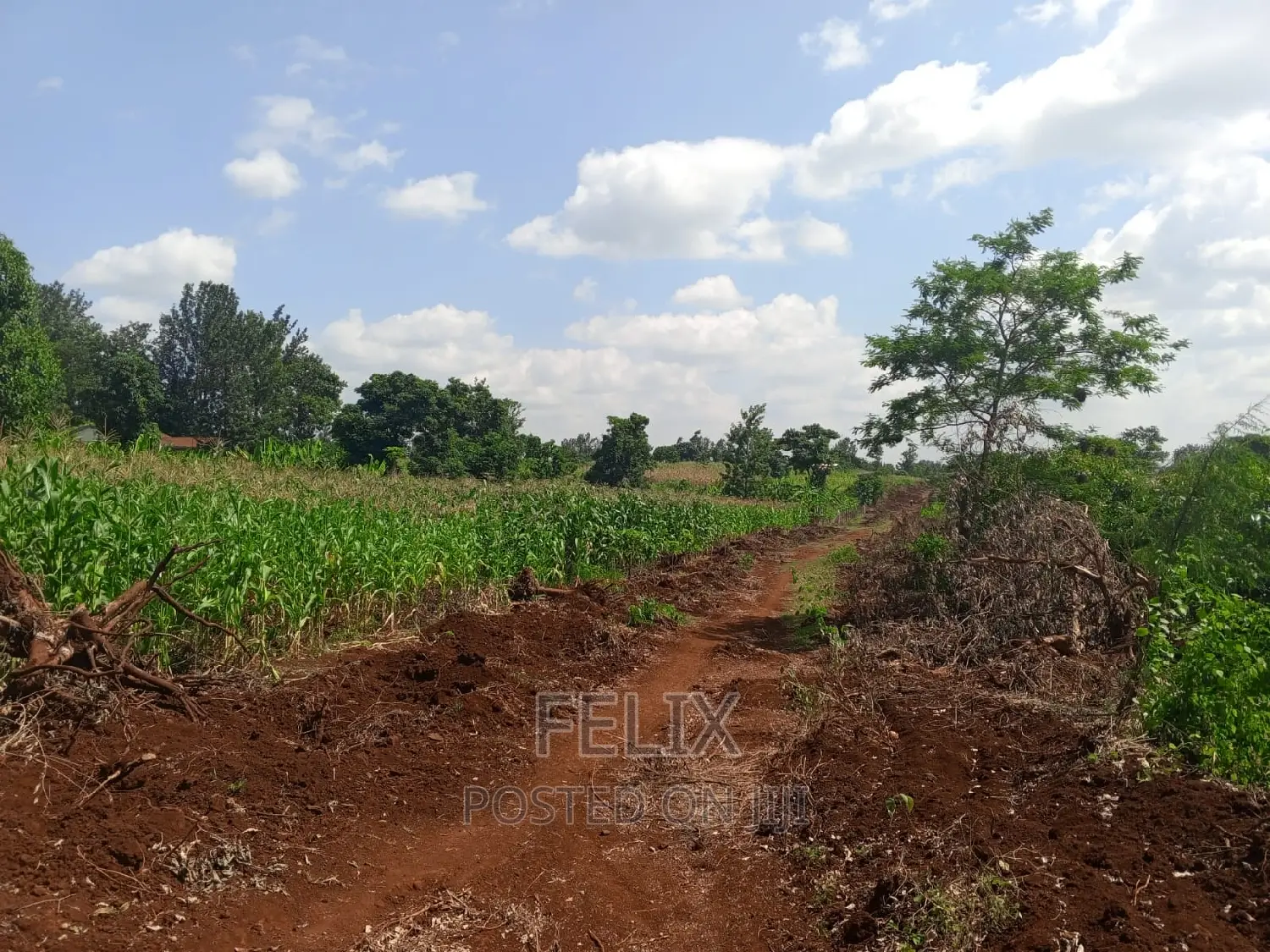 Sagana/Kagio Highway 2 Acres in Kerugoya Land & Plots for Sale, Felix Wanjohi Jiji.co.ke