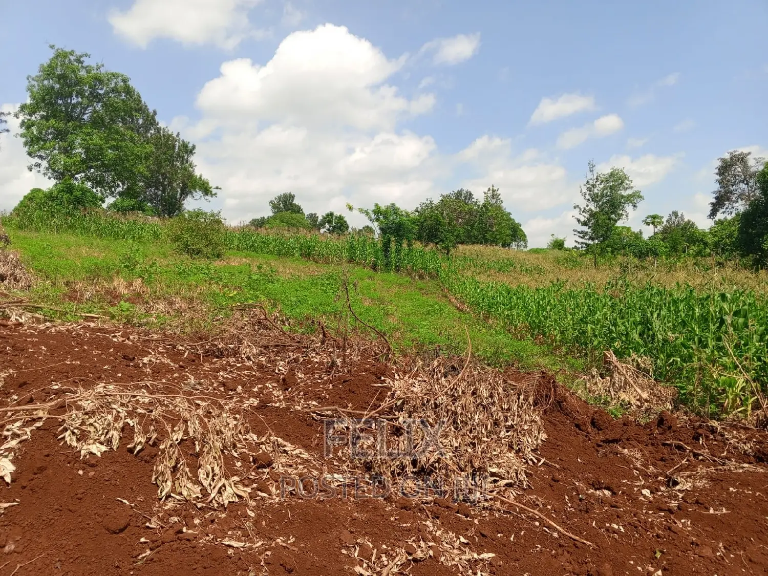 Sagana/Kagio Highway 2 Acres